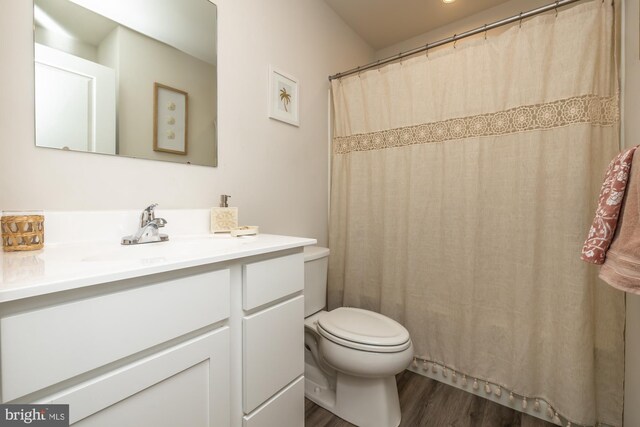 bathroom featuring vanity, wood finished floors, and toilet