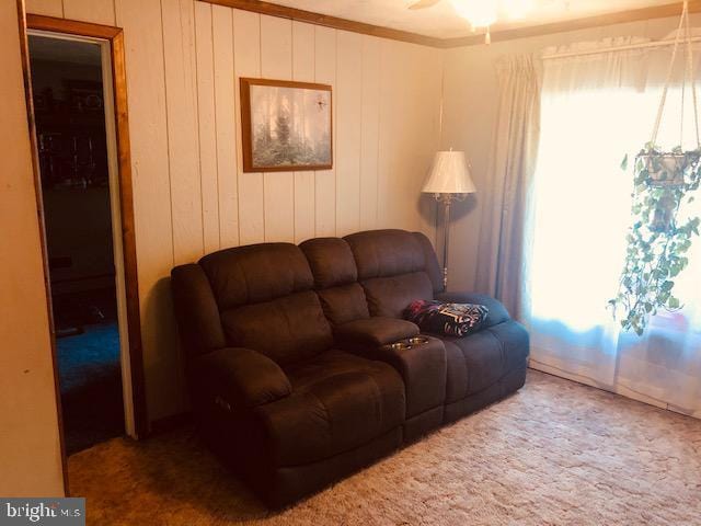 carpeted living area with crown molding and a ceiling fan
