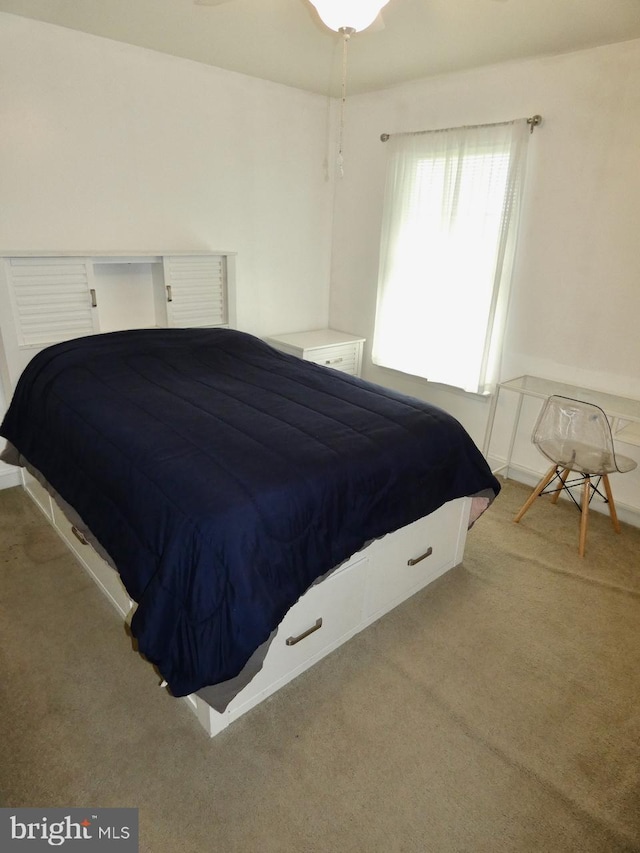 bedroom featuring carpet
