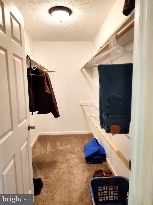 1048 Mill Rd, Woodstock, VA 22664 - spacious closet with carpet