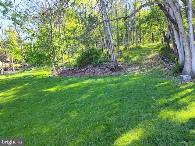 1048 Mill Rd, Woodstock, VA 22664 - view of yard