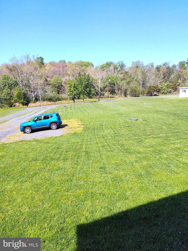 1048 Mill Rd, Woodstock, VA 22664 - view of yard