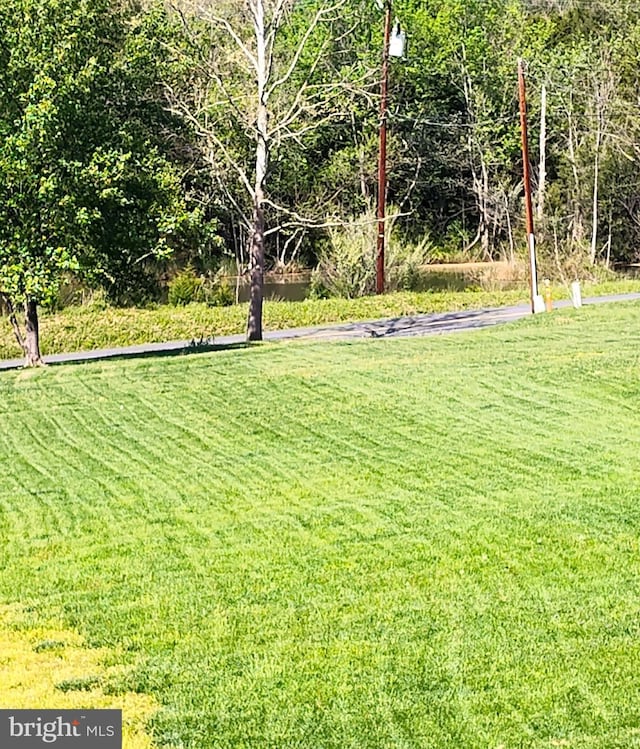 1048 Mill Rd, Woodstock, VA 22664 - view of yard