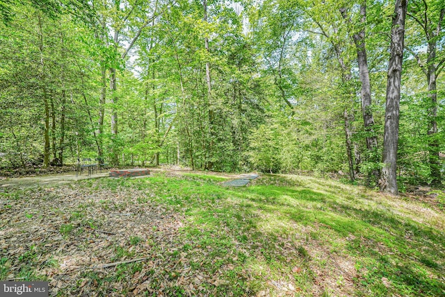 view of yard with a view of trees