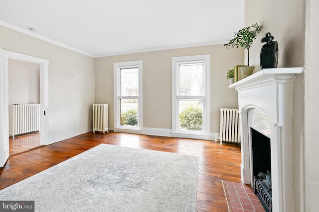 306 Bohemia Ave, Chesapeake City, MD 21915 - unfurnished living room featuring wood-type flooring, crown molding, and radiator heating unit