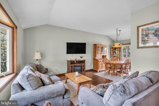 living room with wood finished floors and lofted ceiling