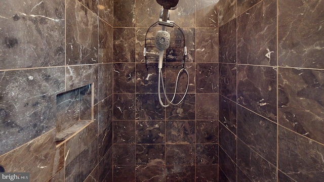 21165 State Road 55, Wardensville, WV 26851 - bathroom view of a tile shower