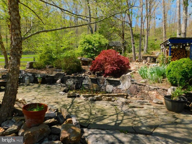 21165 State Road 55, Wardensville, WV 26851 - view of yard featuring a patio