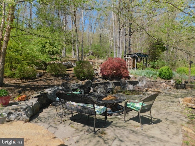 21165 State Road 55, Wardensville, WV 26851 - view of yard with a patio area