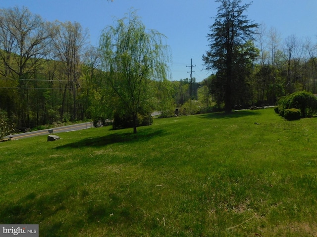 21165 State Road 55, Wardensville, WV 26851 - view of grassy yard