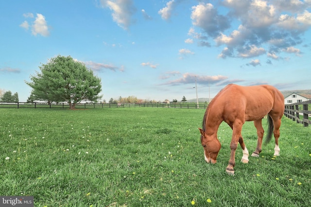 18 Boyds Hollow Rd, Biglerville, PA 17307 - surrounding community featuring a rural view