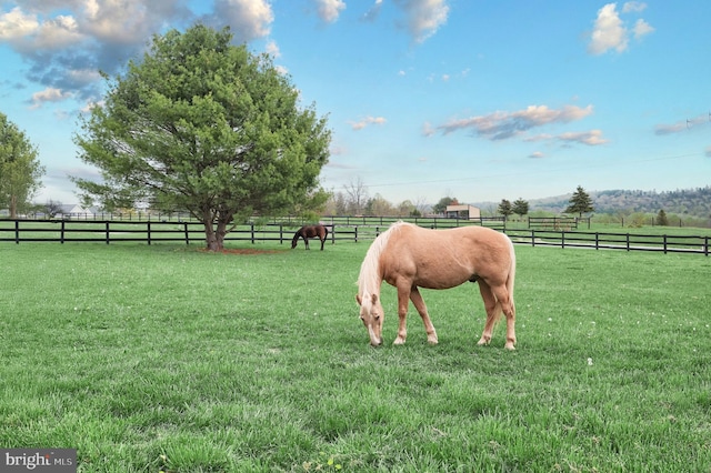 18 Boyds Hollow Rd, Biglerville, PA 17307 - surrounding community featuring a view of countryside