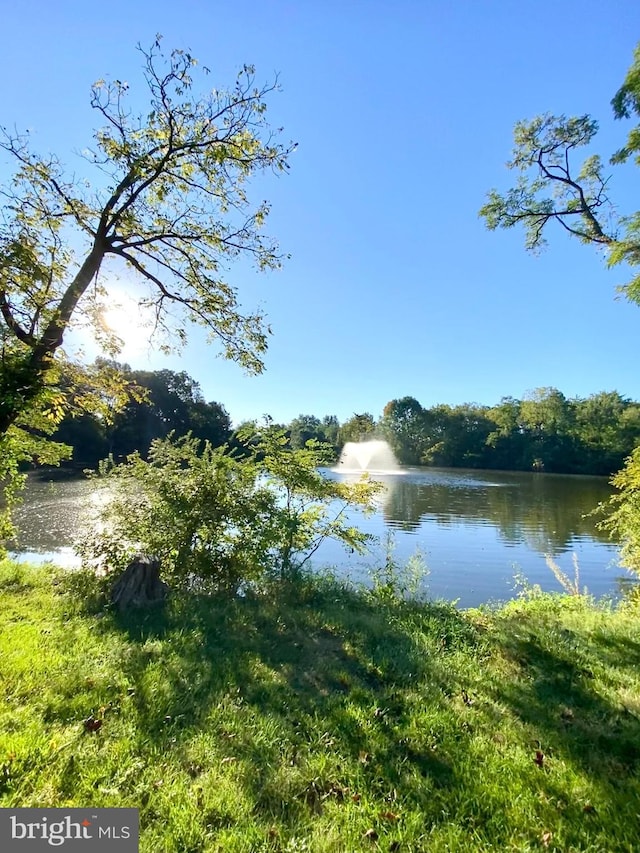 view of water feature