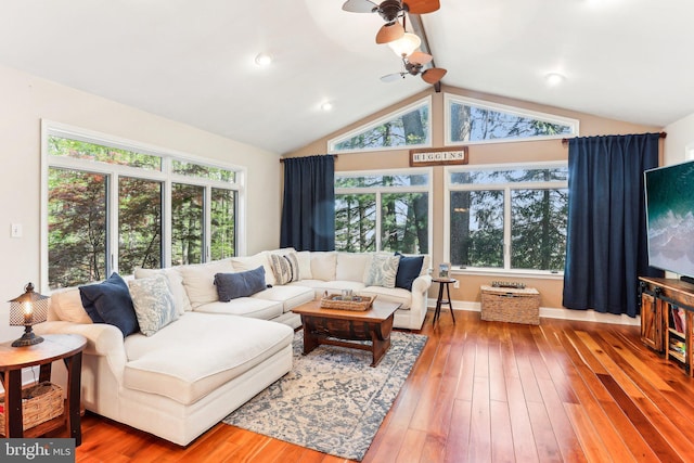 living room with ceiling fan, wood finished floors, and lofted ceiling