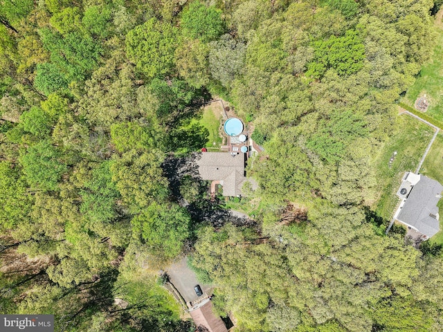 drone / aerial view