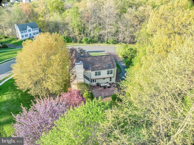 bird's eye view with a forest view