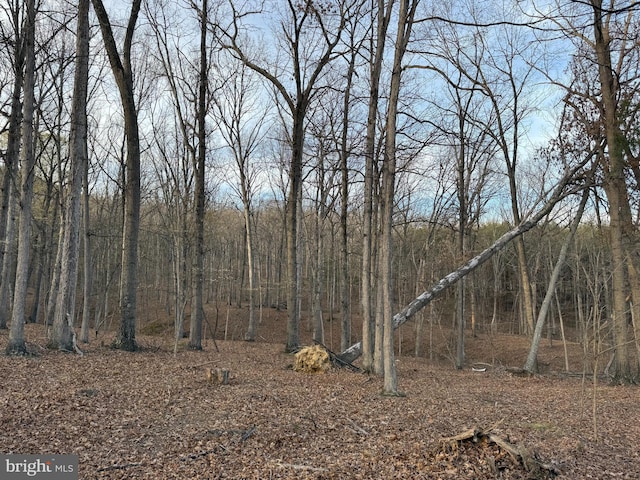 view of local wilderness featuring a wooded view