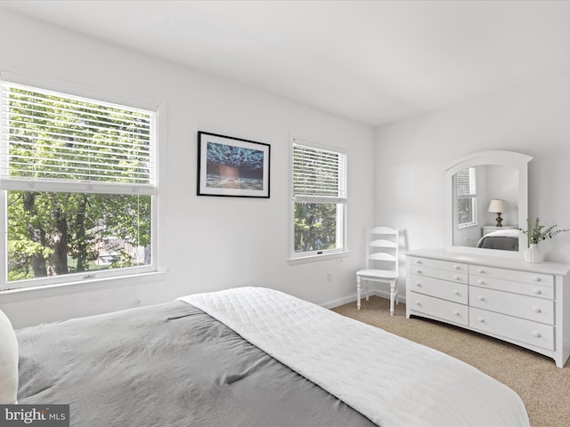 327 Oakwood St, Bethany Beach, DE 19930 - bedroom with multiple windows, light colored carpet, and baseboards