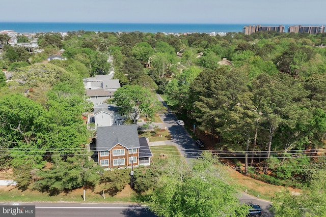 327 Oakwood St, Bethany Beach, DE 19930 - drone / aerial view of a large body of water
