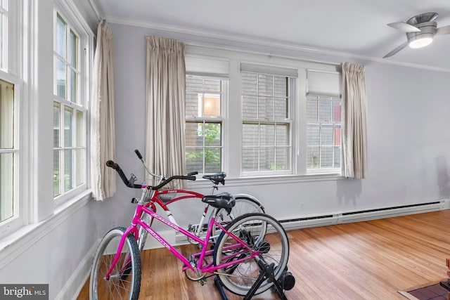workout room with ornamental molding, ceiling fan, and wood finished floors