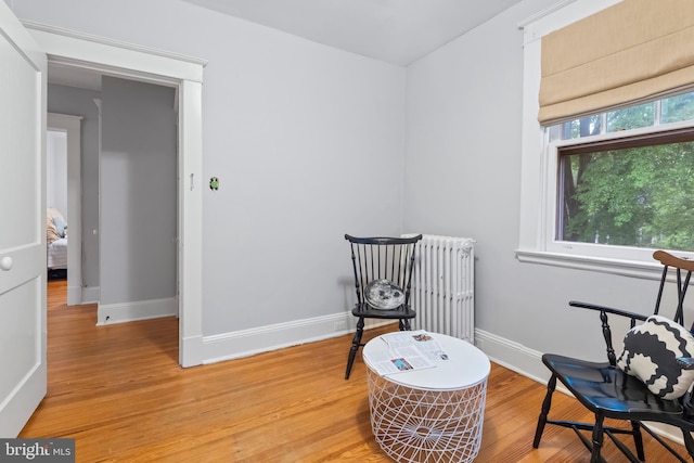 sitting room featuring light wood-type flooring, baseboards, and radiator