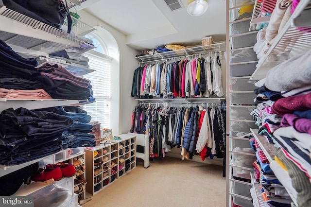 spacious closet with carpet flooring and visible vents