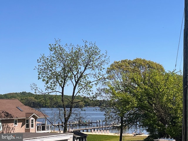 property view of water with a dock