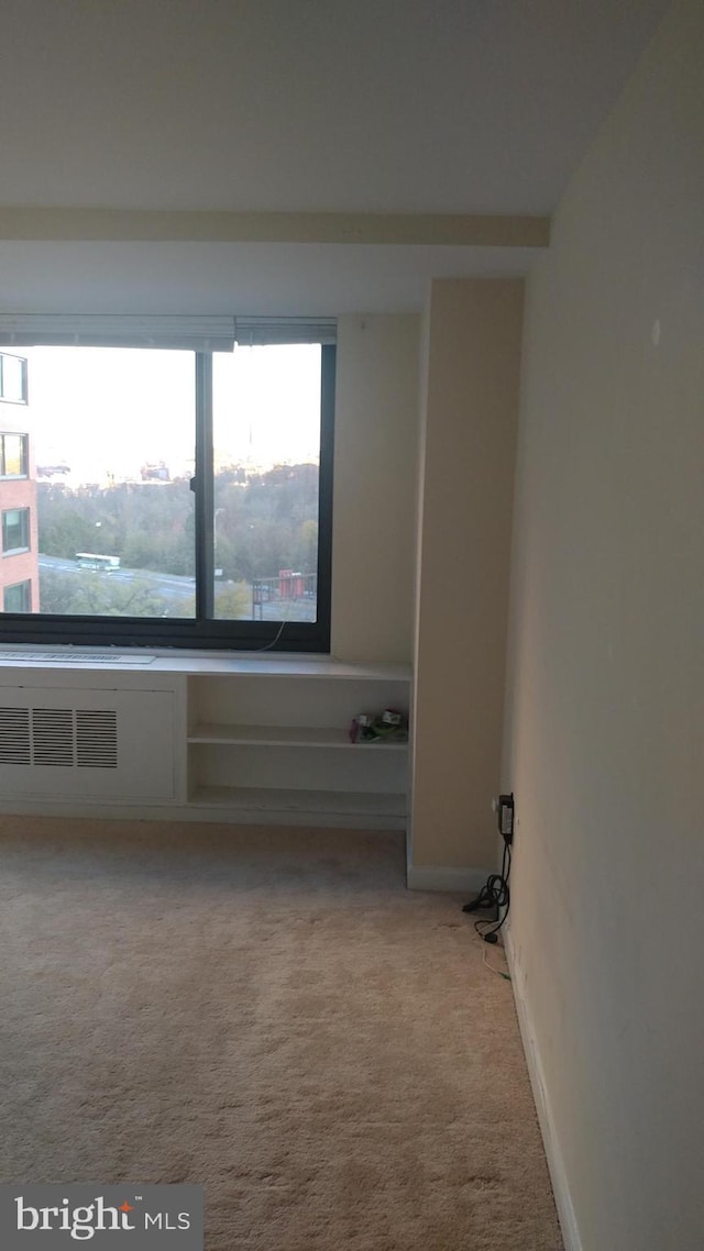 1021 Arlington Blvd Unit 928, Arlington, VA 22209 - spare room with baseboards and carpet flooring