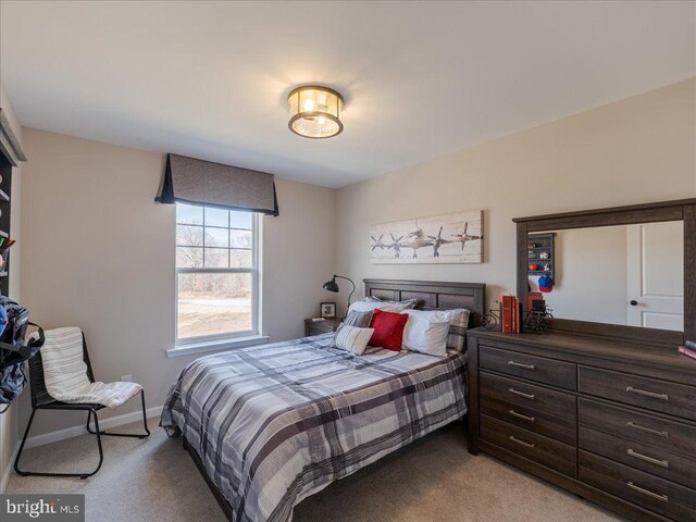 190 Petrelia Dr, Honey Brook, PA 19344 - bedroom featuring baseboards and light colored carpet