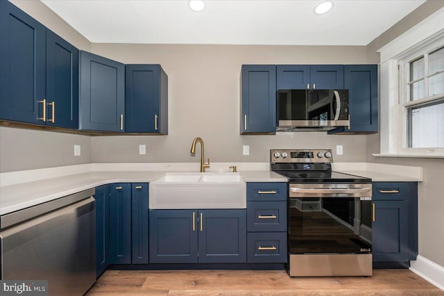 kitchen with blue cabinets, a sink, and stainless steel appliances