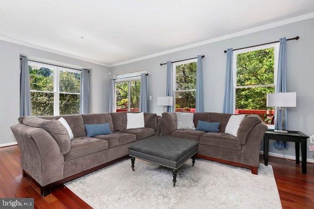 living room with baseboards, crown molding, and wood finished floors