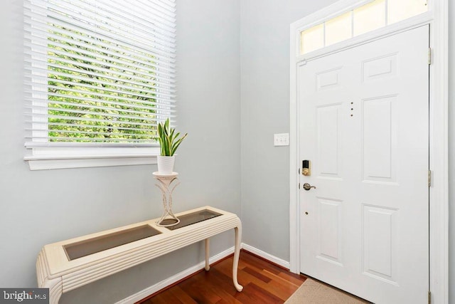 entrance foyer featuring baseboards and dark wood-style flooring