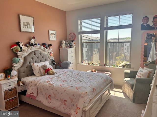 45952 Swallow Ter, Sterling, VA 20165 - view of carpeted bedroom