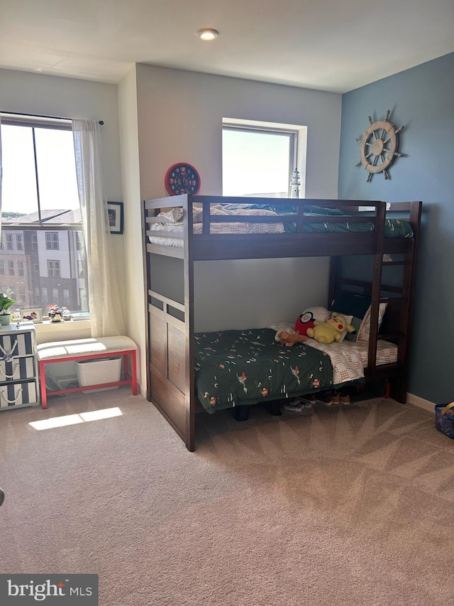 45952 Swallow Ter, Sterling, VA 20165 - bedroom with carpet flooring and multiple windows