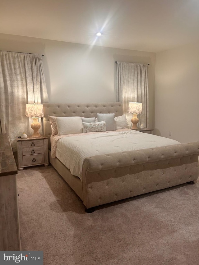 45952 Swallow Ter, Sterling, VA 20165 - view of carpeted bedroom