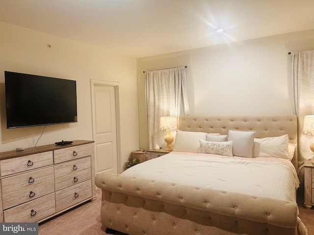 45952 Swallow Ter, Sterling, VA 20165 - bedroom featuring light carpet