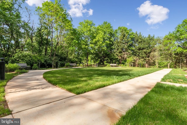 45952 Swallow Ter, Sterling, VA 20165 - view of community with a lawn