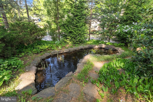 property view of water featuring a garden pond