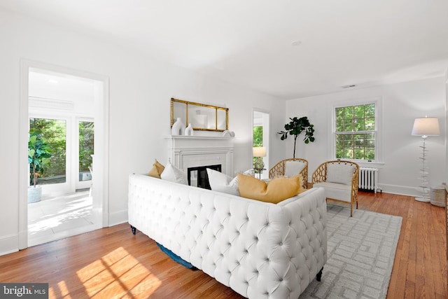 living area with wood finished floors, baseboards, a glass covered fireplace, and radiator heating unit