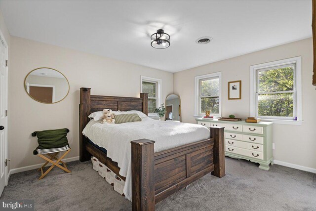 26101 Frederick Rd, Clarksburg, MD 20871 - bedroom featuring visible vents, carpet flooring, and baseboards