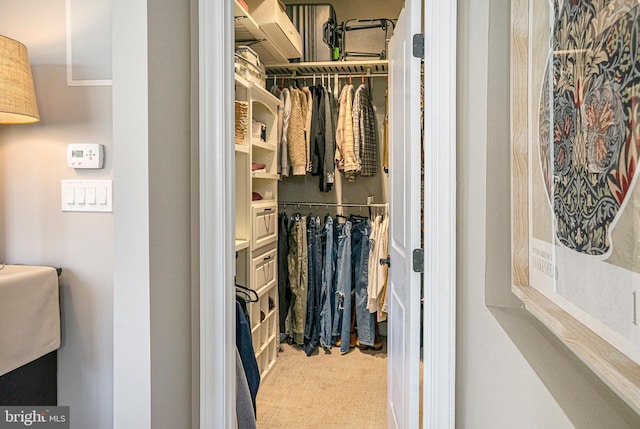 spacious closet with carpet