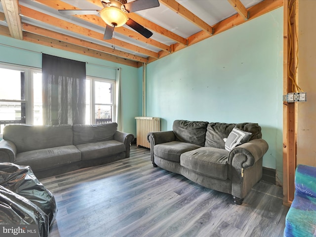 living room with radiator, ceiling fan, beam ceiling, and wood finished floors