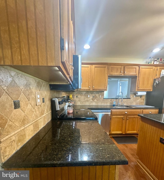 kitchen featuring dark wood-style flooring, dark stone counters, a sink, backsplash, and stainless steel appliances