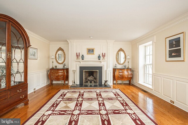 living room featuring ornamental molding, wainscoting, a decorative wall, a fireplace, and light wood-style floors