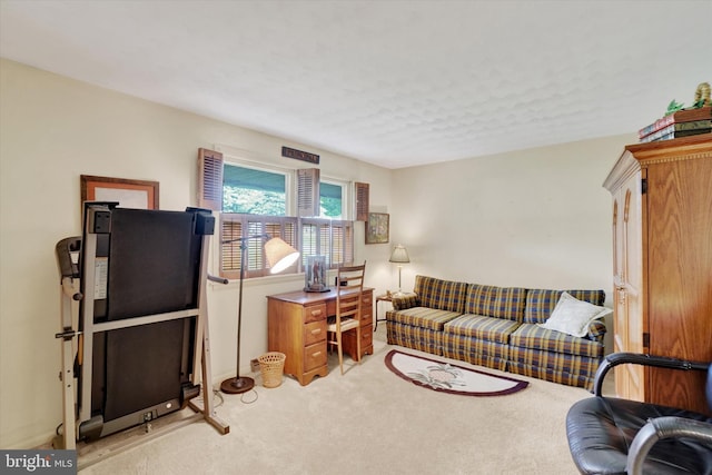 living area featuring light colored carpet