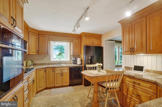 kitchen featuring backsplash, track lighting, a sink, and black appliances