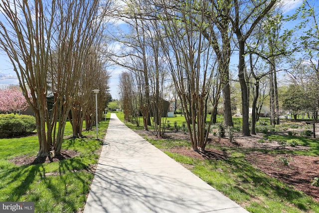 view of property's community