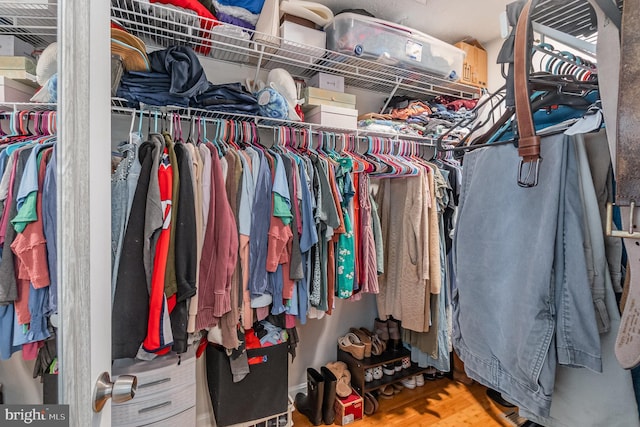 walk in closet featuring wood finished floors