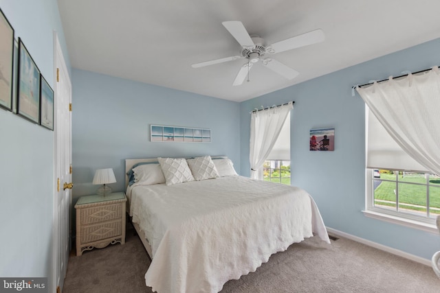 36 Crimson King Dr, Bear, DE 19701 - bedroom with baseboards, carpet, and multiple windows