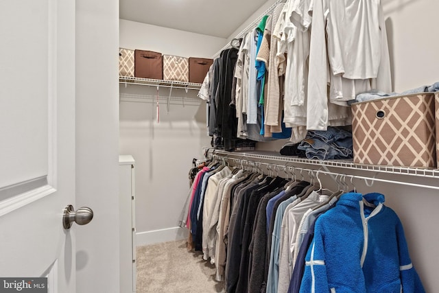 walk in closet with carpet flooring